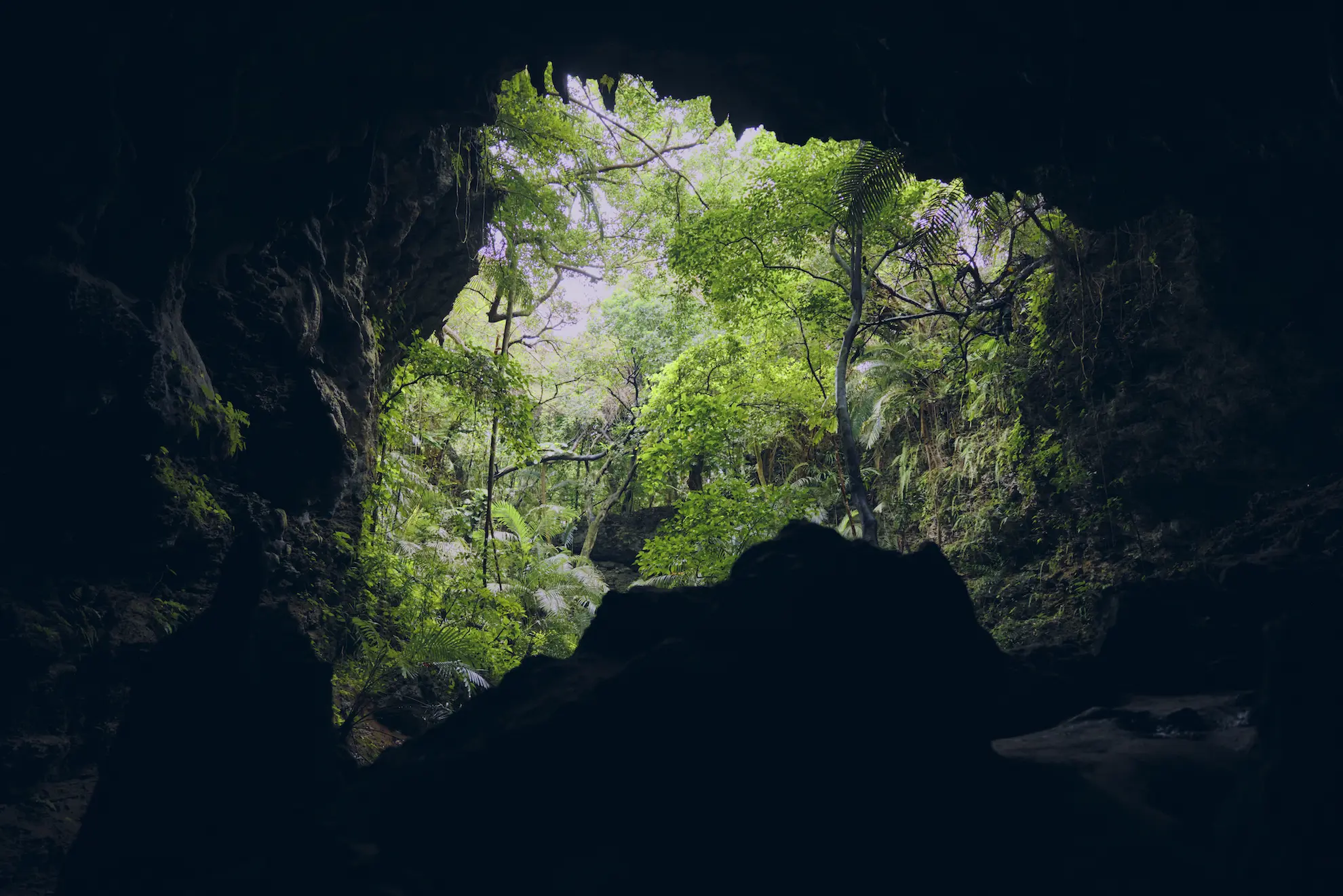 晴れの父島