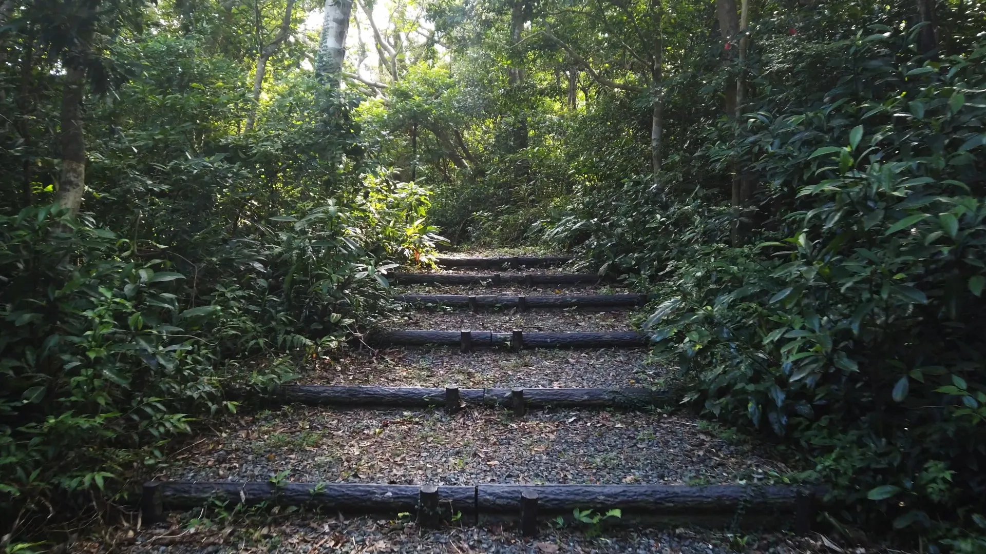 大神山公園（父島）
