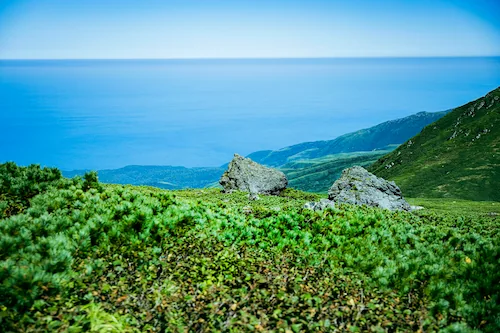 登山道からの景色