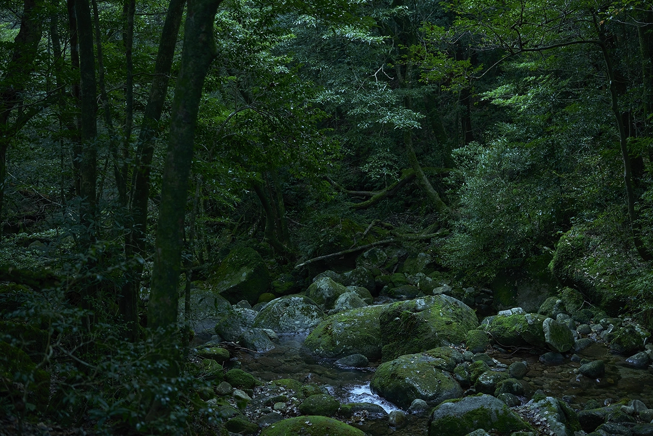 晴れの父島