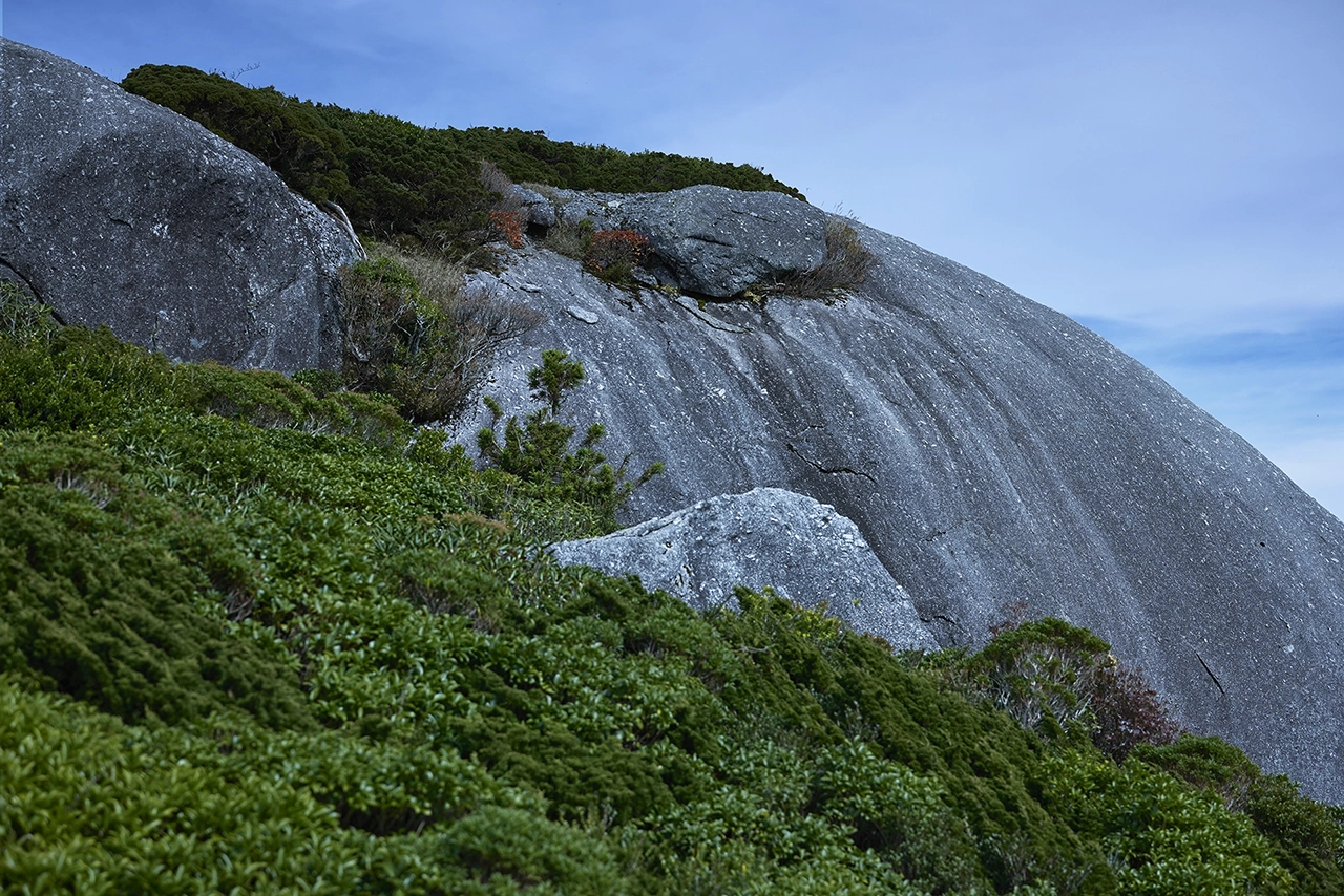 晴れの父島