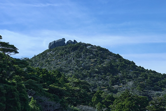 乳房山（母島）