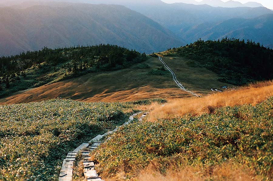 会津駒ヶ岳へつづく気持ちのいい道。山頂までは約20分。