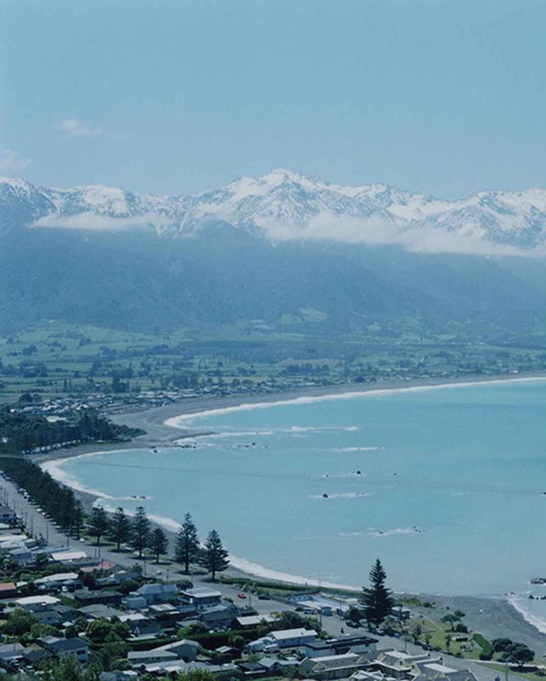 ニュージーランド | TRANSIT.jp｜トランジット