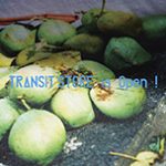 TRANSIT STORE