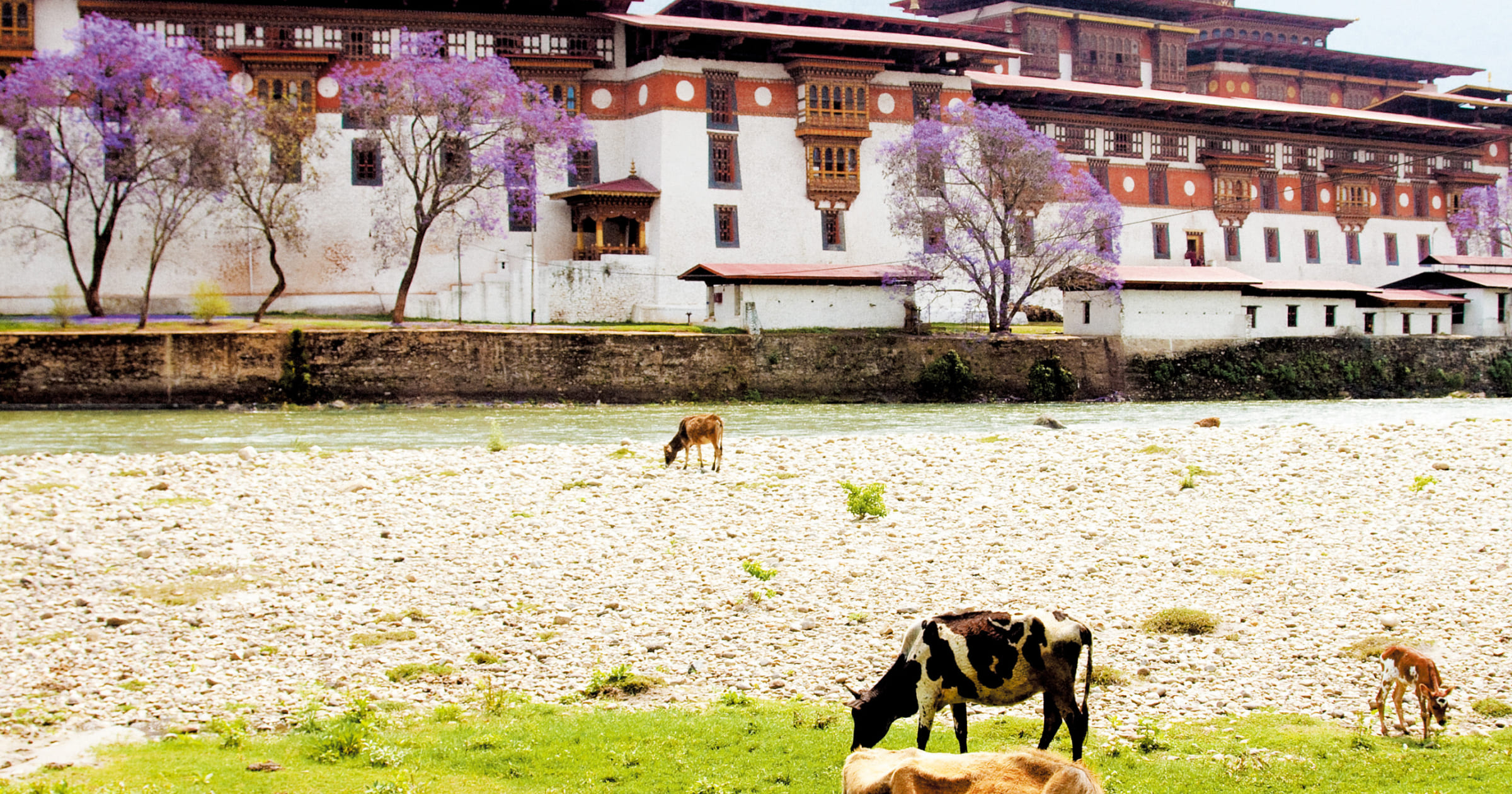 ブータン | TRANSIT.jp｜トランジット