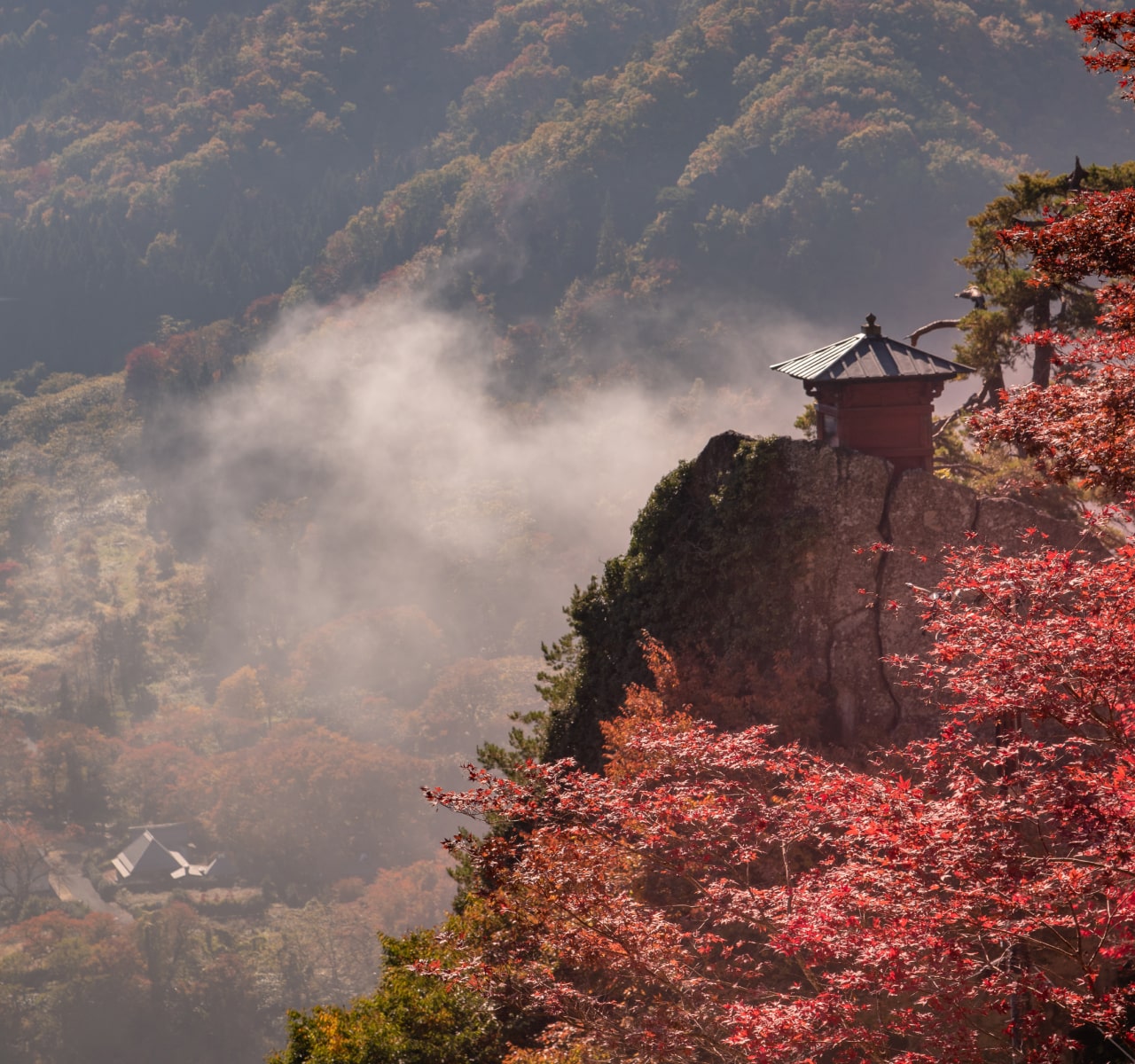 誰もが知る俳句のお寺から
由緒正しい穴場の巡礼地まで