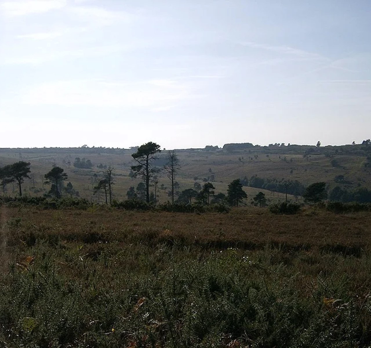 くまのプーさんの原作が発売された日