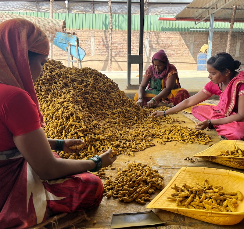 旅と世界のはなし vol.23
「インドのスパイスをめぐる冒険」 
