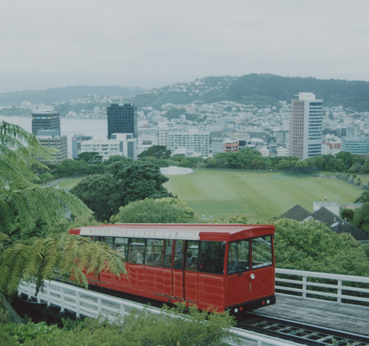 癒やしのニュージーランド旅へ vol.1
クライストチャーチ&ウエリントン街歩き
マールボロ地方のワイナリー巡り