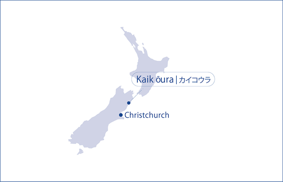 Accsess：南島の北東部に位置する小さな港町、カイコウラ。ブレナム空港から車で国道1号線を南下して約2時間。クライストチャーチ空港からは約2時間半北上すると到着する。
