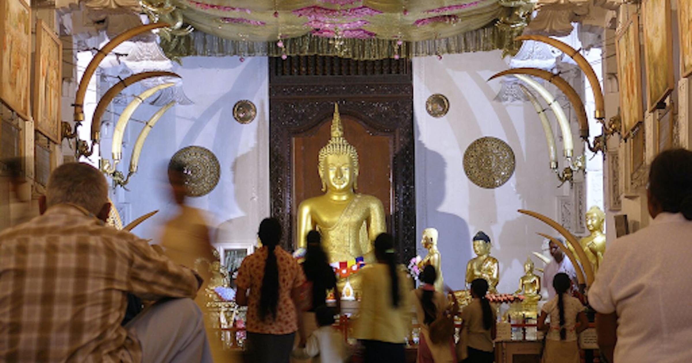 今日は何の日？スリランカが独立した日！2月4日 | TRANSIT.jp