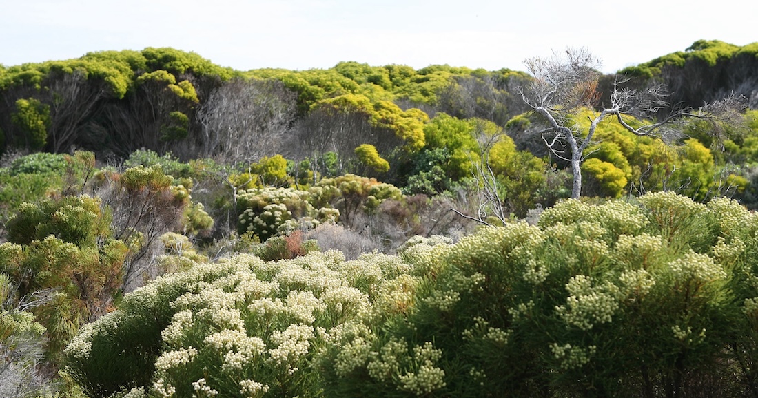 今日は何の日？「喜望峰」が発見された日！2月3日 | TRANSIT.jp