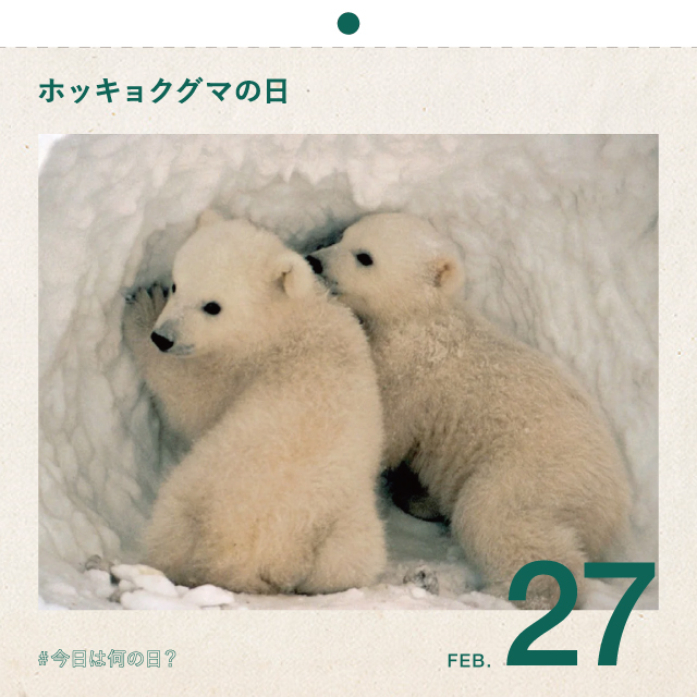 #今日は何の日？
ホッキョクグマの日
2月27日
