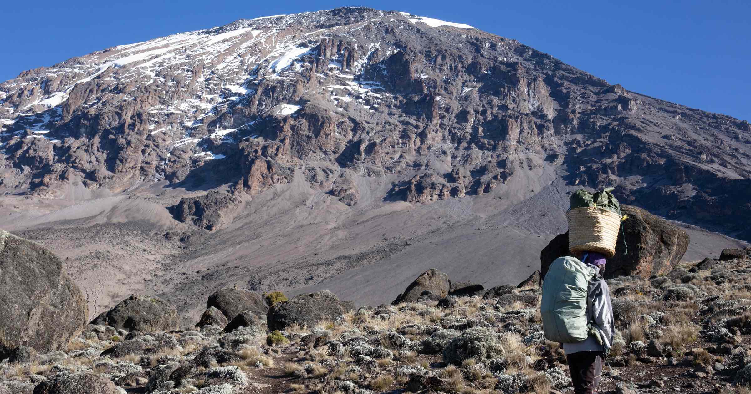 ※貴重　ギリシャ産！ヨ−ロッパミヤマ♂野外標本 貴重 ギリシャ産！ヨ−ロッパミヤマ♂野外標本 KPW公式｜昆虫生体