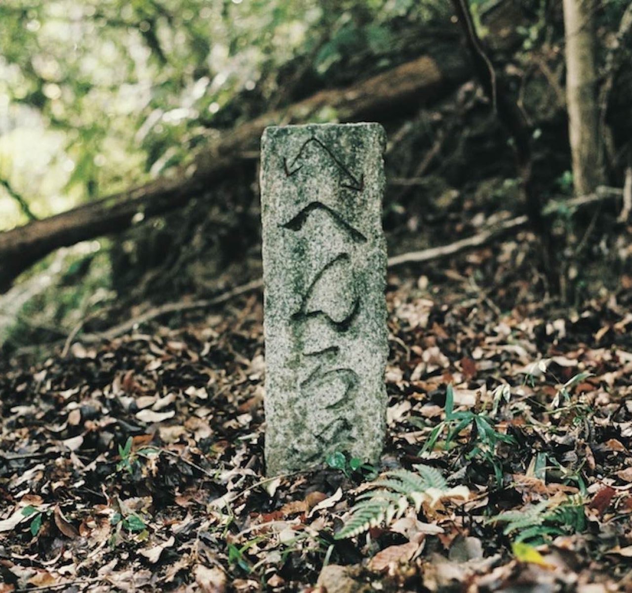 高知県