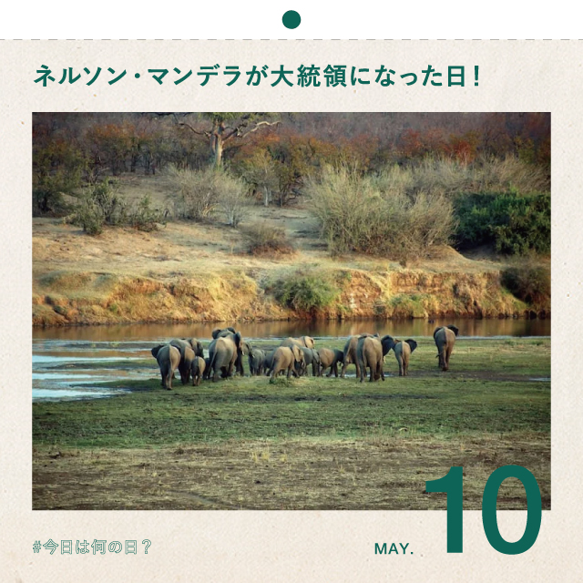 #今日は何の日？
ネルソン・マンデラが大統領になった日！
5月10日