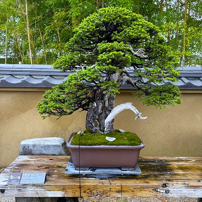 埼玉県
