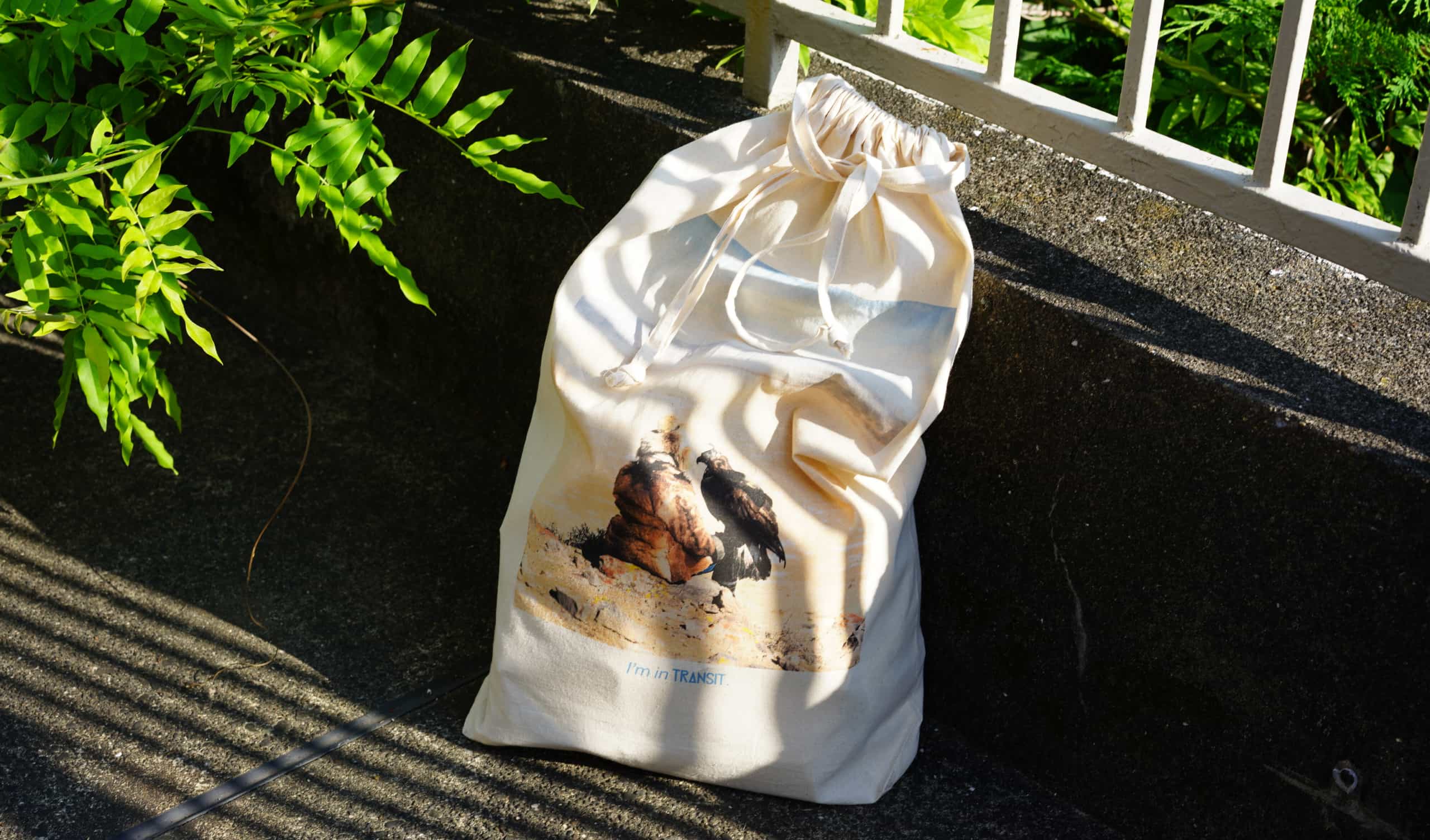 TRANSIT STORE
is Open！