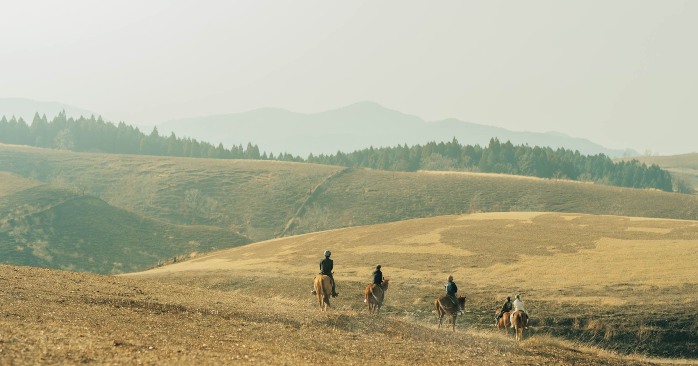 NIPPONの国立公園阿蘇くじゅう国立公園（前編）野を焼き、草を待つ