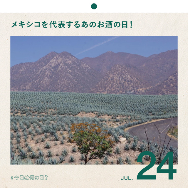 #今日は何の日？
メキシコを代表するあのお酒の日！
7月24日