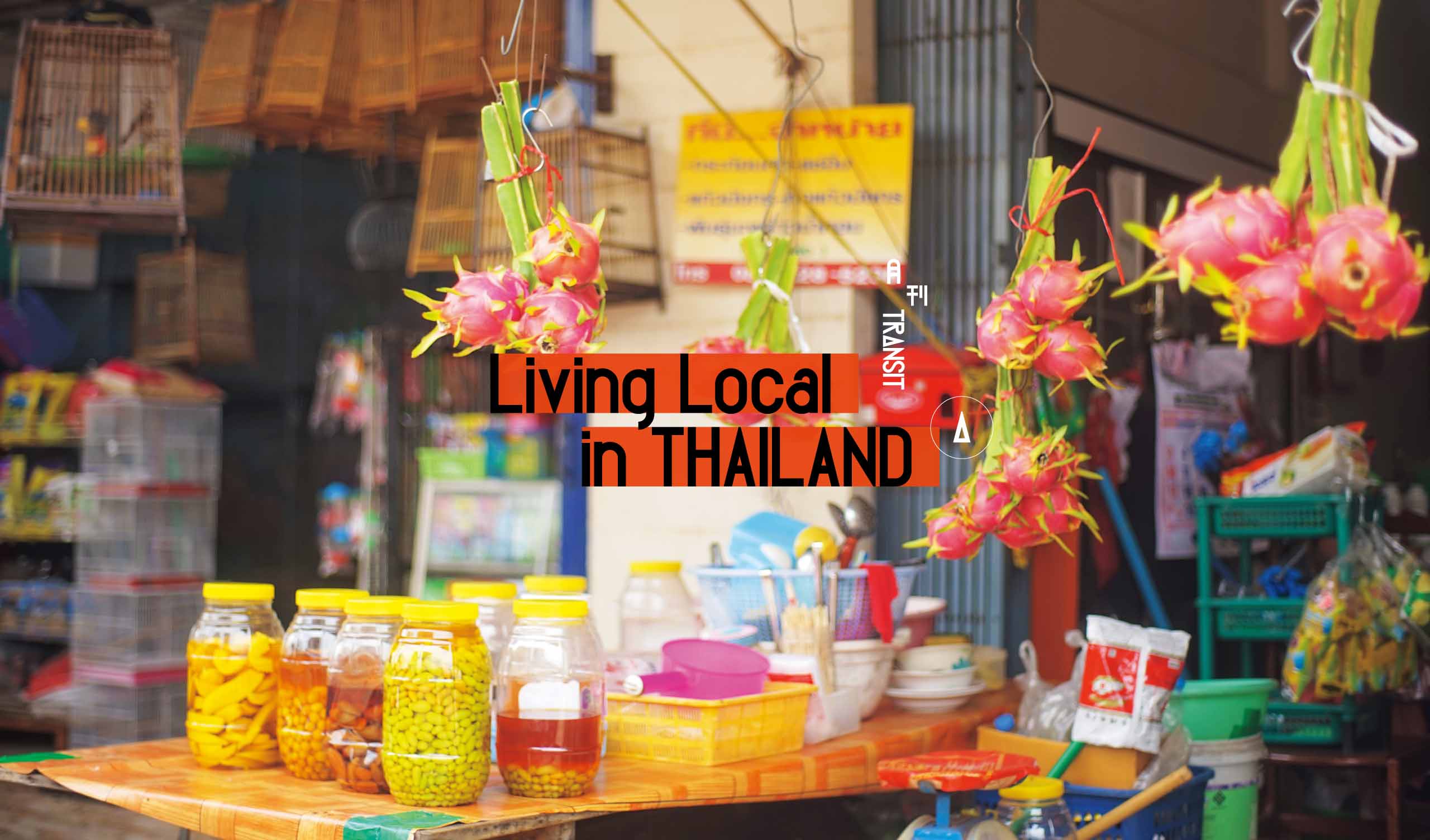月刊TRANSIT
タイを暮らすように旅したい！
