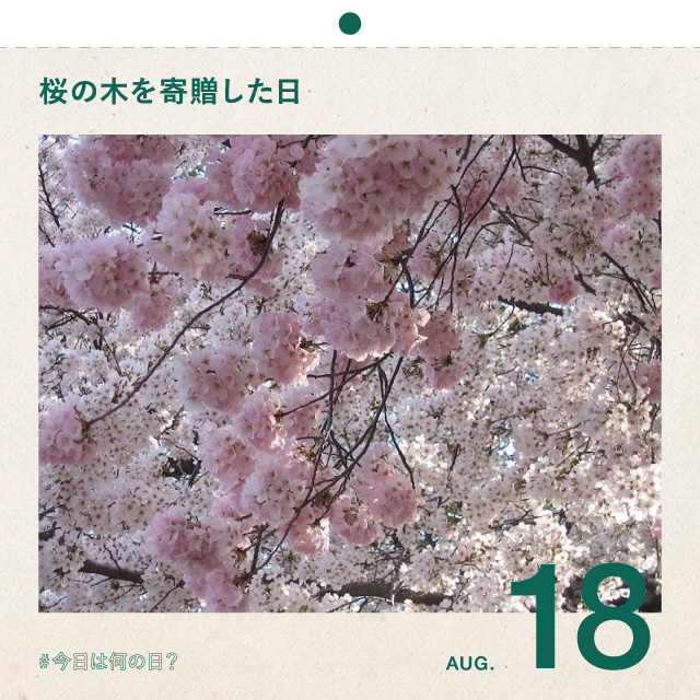 #今日は何の日？
桜の木を寄贈した日
8月18日
