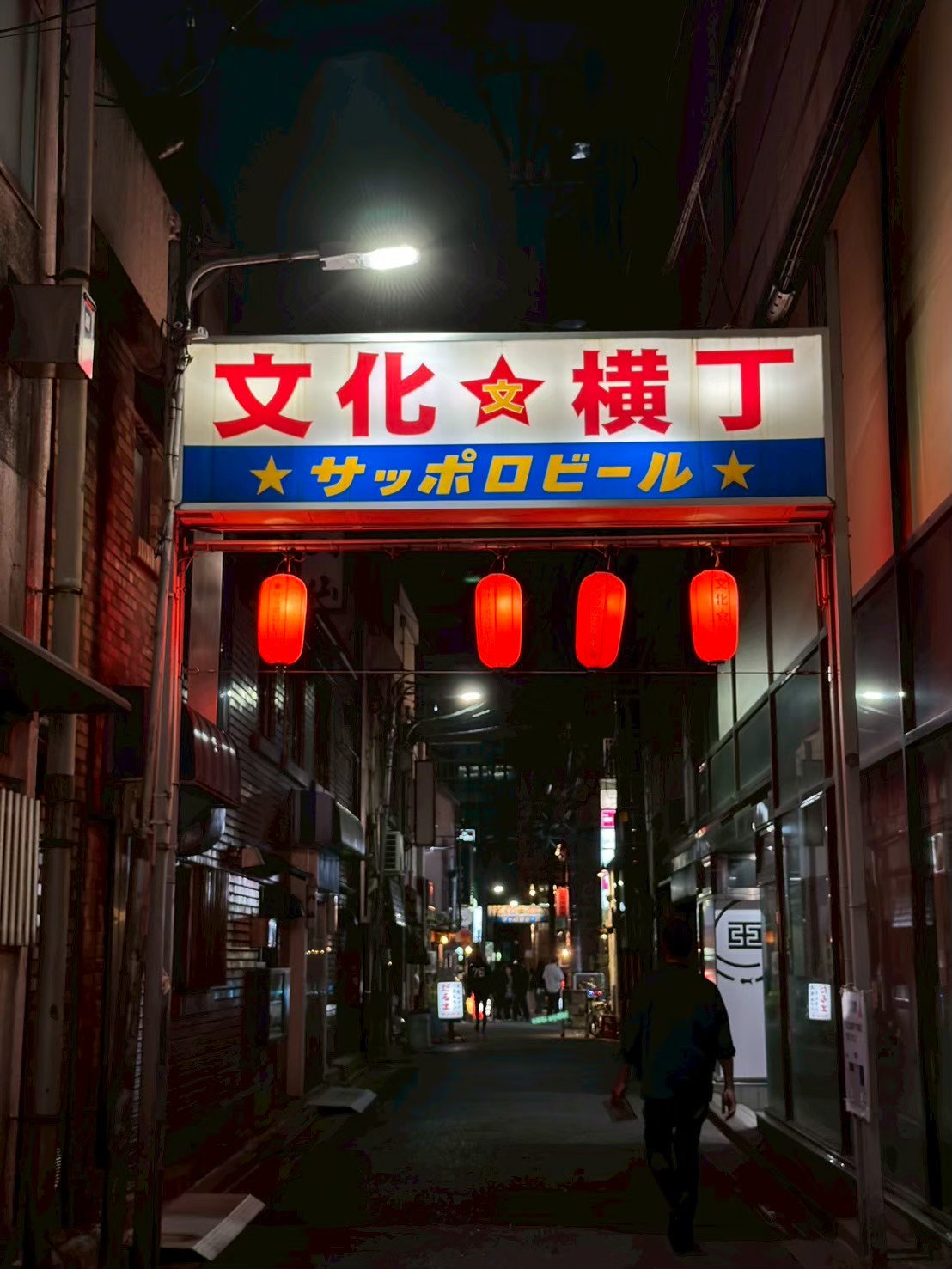 連休の中日だからか、休業店舗が多かった文化横丁。残念。
