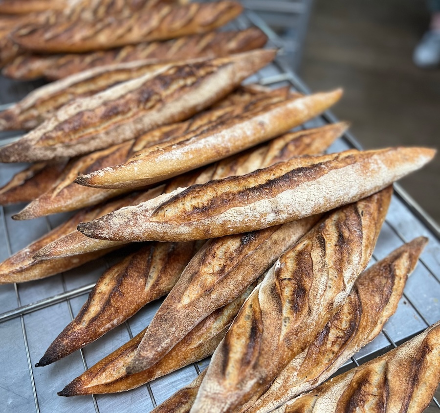パンの名店シェフも絶賛
魅惑のフランス・コニャック原産小麦のうまさの秘密とは?