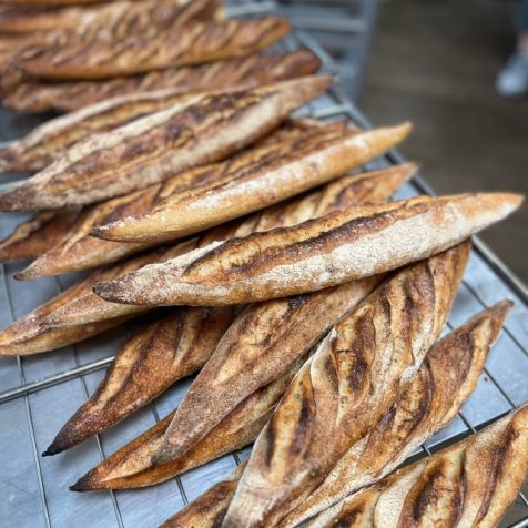 パンの名店シェフも絶賛
魅惑のフランス・コニャック原産小麦のうまさの秘密とは?
