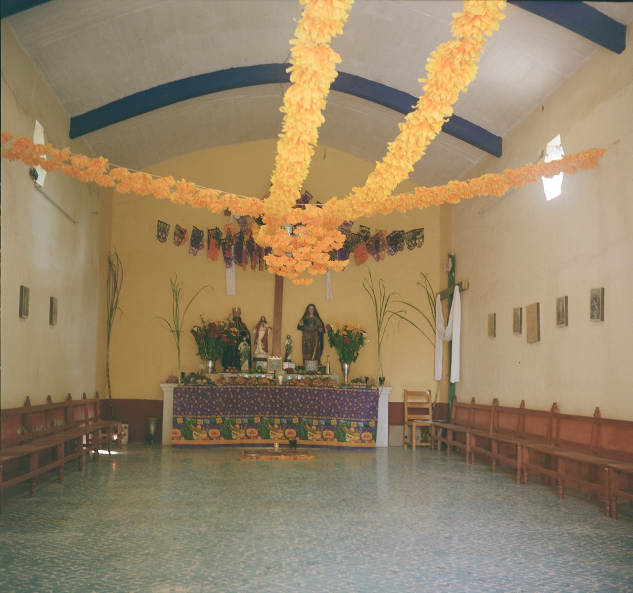 #今週のTRANSIT編集部日誌
マヤのピラミッド巡りと
死者の日のお墓参り
津賀真希（TRANSIT.jp編集長）
