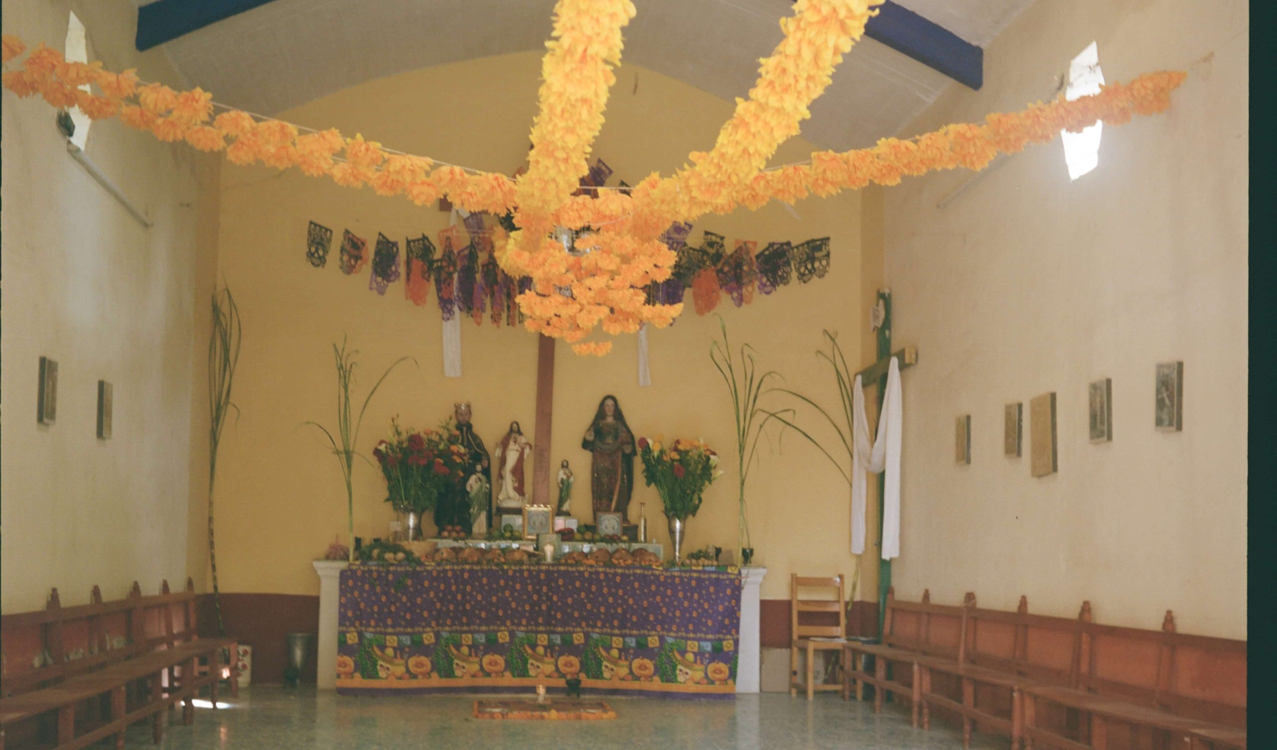 今週の編集部日誌
マヤのピラミッド巡りと死者の日のお墓参り