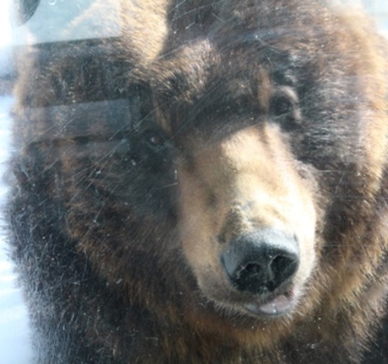 #Travelog アイヌの