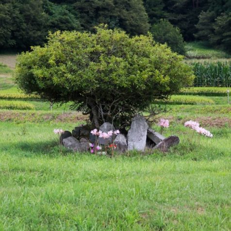 #今週のTRANSIT編集部日誌
祈るように暮らす山間の町、岩手・遠野へ
磯部里紗（TRANSIT.jp）
