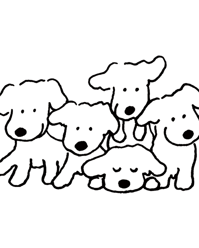 web特集｜月刊TRANSIT「スウェーデンが描く北欧型社会」
犬にもやさしいスウェーデン。アニマル・ウェルフェア先進国で犬と暮らしてみれば
