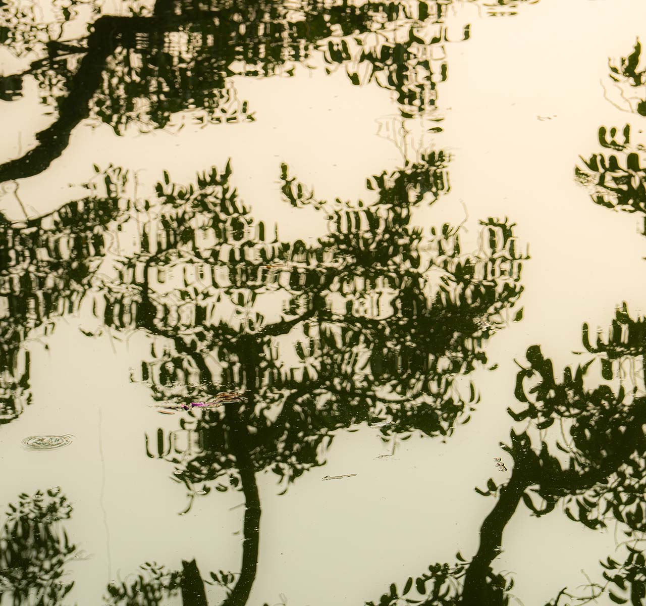 音楽で旅する、家でのリラックスタイム 
ベトナム編
山崎敦也（TRANSIT）